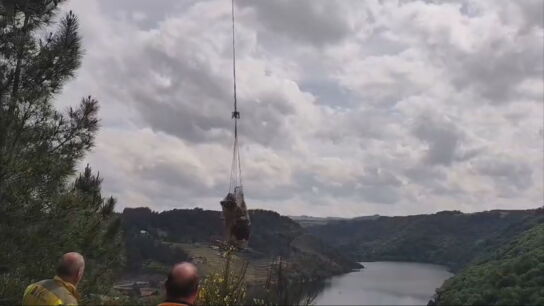 Rescate de vacas en Galicia