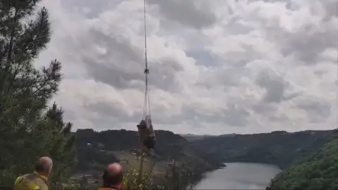 Rescate de vacas en Galicia Rescate de vacas en Galicia