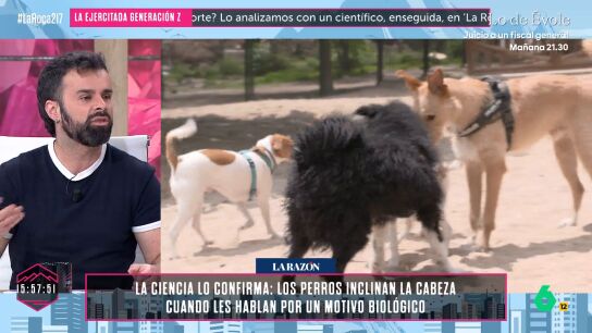 Ricardo Moure