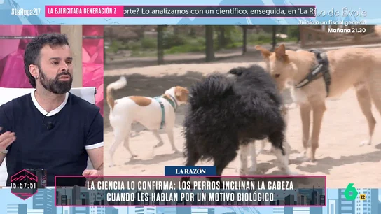 Ricardo Moure Ricardo Moure