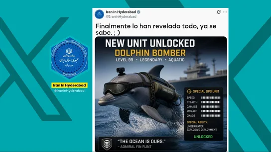 La cruel y despiadada arma de Irán en Ormuz: delfines kamikazes que explotarían al paso de los buques La cruel y despiadada arma de Irán en Ormuz: delfines kamikazes que explotarían al paso de los buques