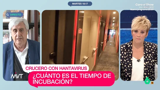 Badiola resuelve las dudas sobre el período de incubación del hantavirus: "Depende de las personas" Juan José Badiola, epidemiólogo y director del Centro de Enfermedades Emergentes, resuelve las dudas sobre el hantavirus detectado en un crucero. En este vídeo, habla de cuál es el periodo de incubación.