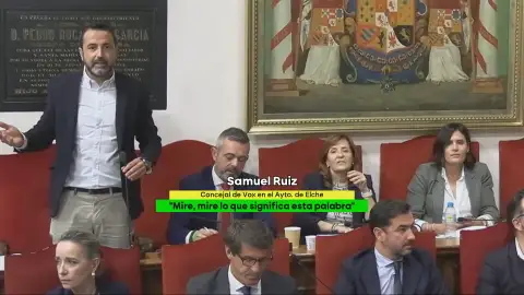 Insultos, boicots y choques: Vox revienta el pleno municipal de Elche tras llamar "idiota" a una concejal de Compromís Insultos, boicots y choques: Vox revienta el pleno municipal de Elche tras llamar "idiota" a una concejal de Compromís