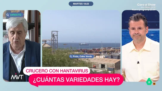 ¿Podría mutar el hantavirus como el COVID? El epidemiólogo Juan José Badiola aclara esta cuestión El científico compara en Más Vale Tarde la posibilidad de que este virus pueda mutar como lo hizo coronavirus, provocando un contagio más rápido, aunque su letalidad era menor.