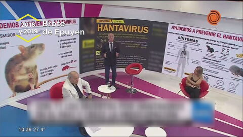 El hantavirus, un viejo conocido en Argentina: del primer brote en 1996 a los m&aacute;ximos actuales