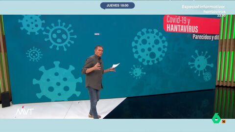 El posible contagio de hantavirus una azafata de vuelo ha hecho recordar todo lo vivido durante la pandemia de COVID, Pero &iquest;se parecen ambos virus o tienen m&aacute;s diferencias que similitudes?