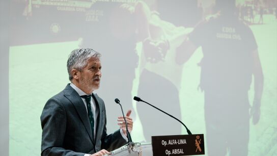 El ministro del Interior, Fernando Grande-Marlaska, durante una rueda de prensa, en la Direcci&oacute;n General de la Guardia Civil