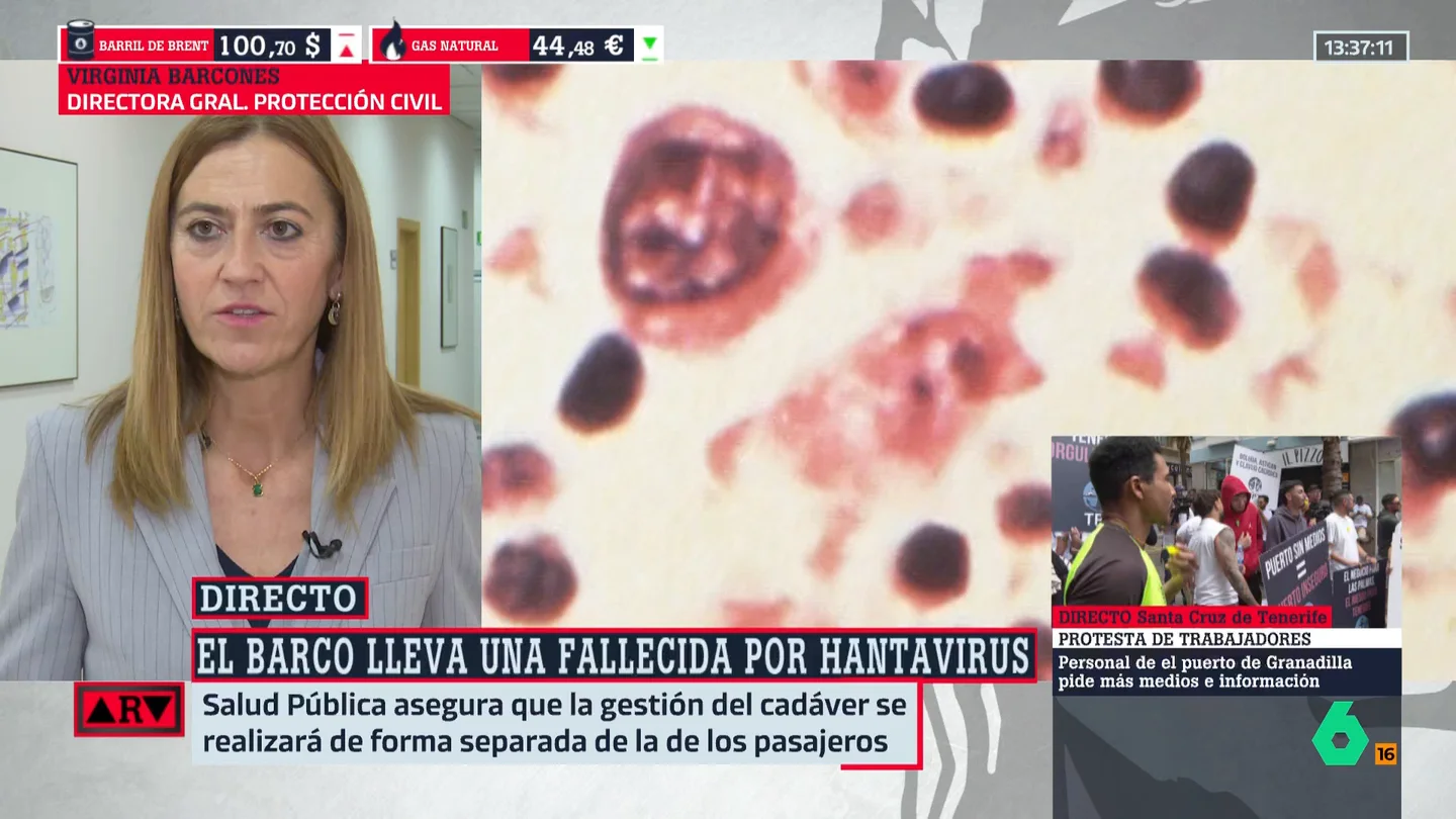 ¿Qué pasa si alguien del crucero MV Hondius presenta síntomas a su llegada a Canarias? Virginia Barcones responde ¿Qué pasa si alguien del crucero MV Hondius presenta síntomas a su llegada a Canarias? Virginia Barcones responde