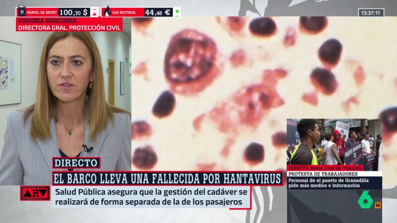 &iquest;Qu&eacute; pasa si alguien del crucero MV Hondius presenta s&iacute;ntomas a su llegada a Canarias? Virginia Barcones responde