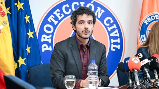 El director general de Salud Pública y Equidad en Salud del Ministerio de Sanidad, Pedro Gullón, durante una rueda de prensa, este jueves. El director general de Salud Pública y Equidad en Salud del Ministerio de Sanidad, Pedro Gullón, durante una rueda de prensa, este jueves.