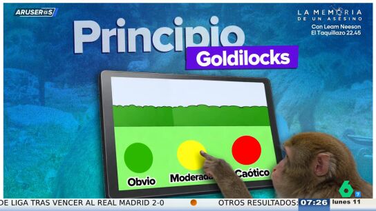 Angie C&aacute;rdenas, sobre los macacos que han jugado cien veces a un mismo videojuego: "Son igual de vagos que nosotros"