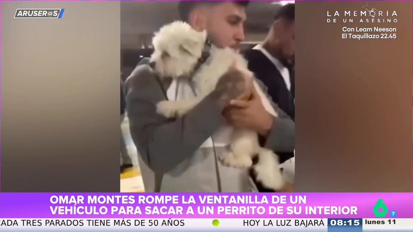 El vídeo viral en el que Omar Montes rompe la ventanilla de un coche para sacar a un perro El vídeo viral en el que Omar Montes rompe la ventanilla de un coche para sacar a un perro