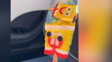 BOB ESPONJA