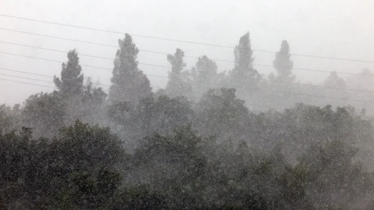 Una fuerte tormenta de agua y granizo cae sobre Pamplona el lunes 11 de mayo, en una jornada marcada por lluvias intermitentes. Una fuerte tormenta de agua y granizo cae sobre Pamplona el lunes 11 de mayo, en una jornada marcada por lluvias intermitentes.