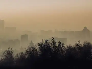 Contaminación Contaminación