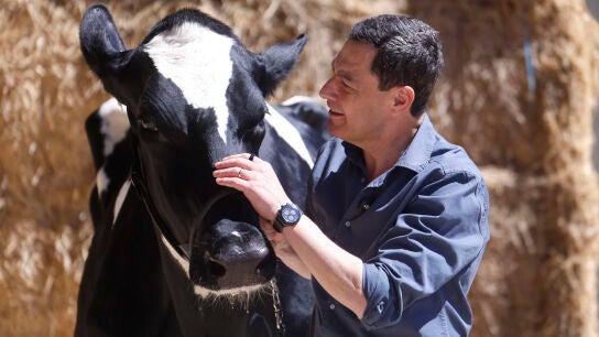 El candidato del Partido Popular a la Junta de Andaluc&iacute;a Juanma Moreno se fotograf&iacute;a con la vaca Blanca