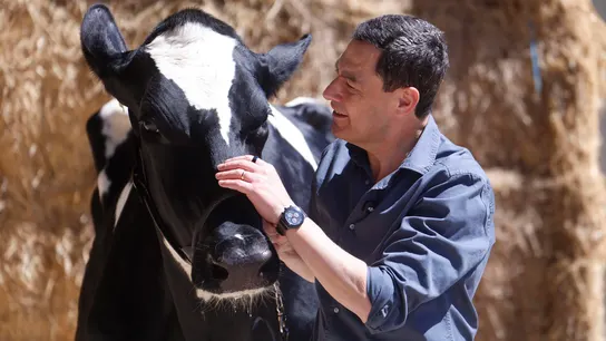 El candidato del Partido Popular a la Junta de Andalucía Juanma Moreno se fotografía con la vaca Blanca El candidato del Partido Popular a la Junta de Andalucía Juanma Moreno se fotografía con la vaca Blanca