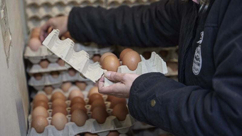 Imagen de archivo de una persona cogiendo huevos.