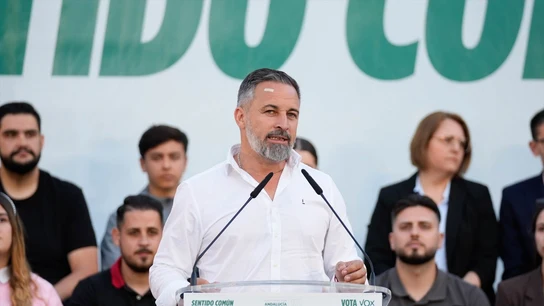 Imagen de archivo de Santiago Abascal. Imagen de archivo de Santiago Abascal.