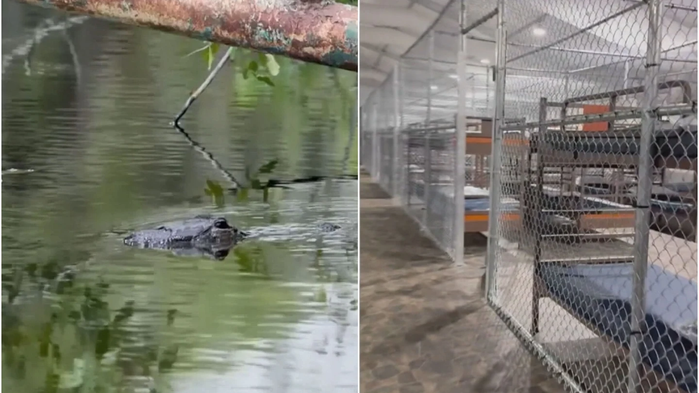 La cárcel de 'Alligator Alcatraz' La cárcel de 'Alligator Alcatraz'