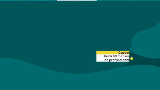 Contin&uacute;a la b&uacute;squeda de cuatro turistas italianos desaparecidos en Maldivas tras una inmersi&oacute;n a 60 metros de profundidad