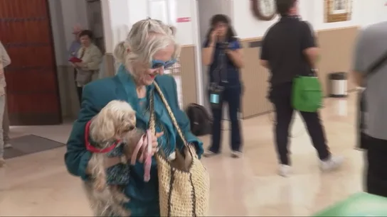 Una mujer acude a votar con su perro Una mujer acude a votar con su perro