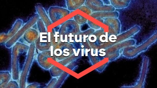 Desde la gripe aviar hasta la rabia: el futuro de los virus que m&aacute;s preocupan a los expertos.