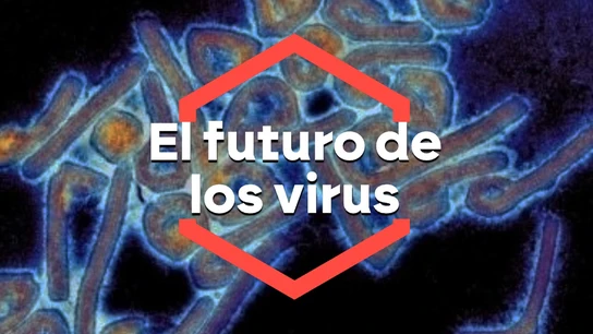 Desde la gripe aviar hasta la rabia: el futuro de los virus que más preocupan a los expertos. Desde la gripe aviar hasta la rabia: el futuro de los virus que más preocupan a los expertos.