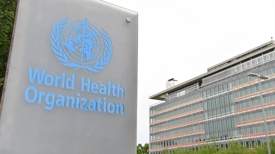 Imagen de archivo. Logo de la Organización Mundial de la Salud Imagen de archivo. Logo de la Organización Mundial de la Salud
