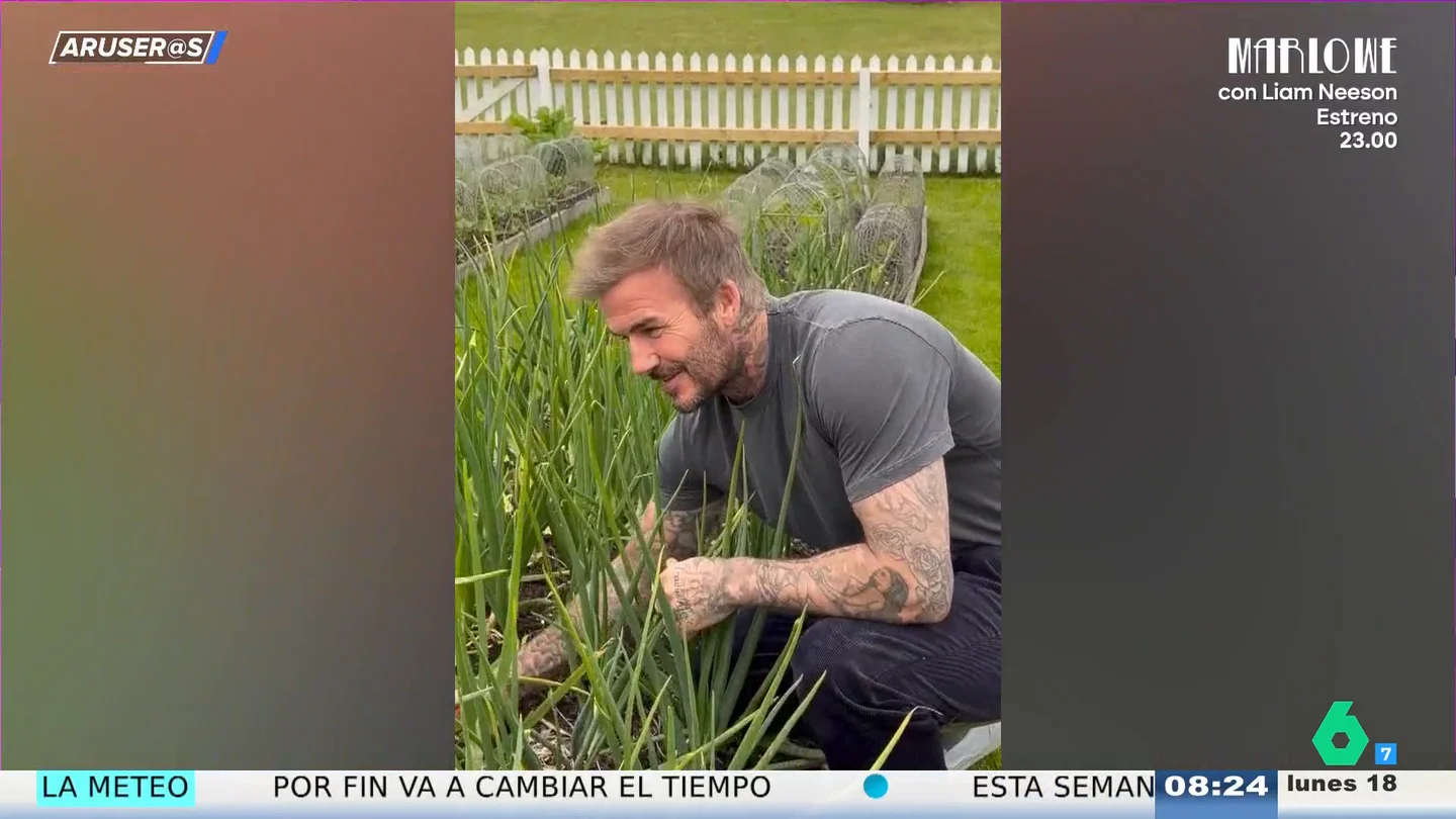 David Beckham David Beckham, el primer futbolista británico que se convierte en milmillonario: esta es su fortuna