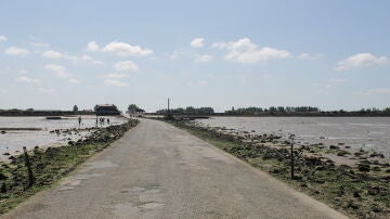 Passage du Gois