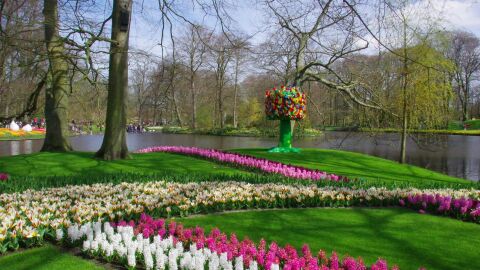 Keukenhof