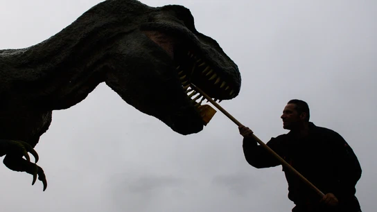 Una imagen de la exposición 'Dinosaurios: en el reino de la prehistoria' en Magdeburgo (Alemania) en febrero de 2025 Una imagen de la exposición 'Dinosaurios: en el reino de la prehistoria' en Magdeburgo (Alemania) en febrero de 2025