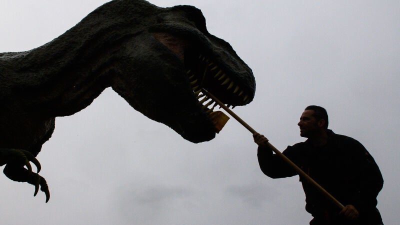 Una imagen de la exposición 'Dinosaurios: en el reino de la prehistoria' en Magdeburgo (Alemania) en febrero de 2025 Una imagen de la exposición 'Dinosaurios: en el reino de la prehistoria' en Magdeburgo (Alemania) en febrero de 2025