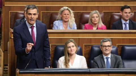 Imagen de Pedro S&aacute;nchez.