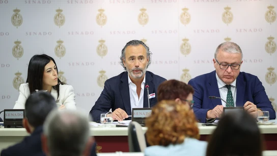 El presidente de la Asociación Víctimas Descarrilamiento Adamuz (AVDA), Mario Samper Pereira (c), comparece ante la Comisión de Investigación sobre el estado de la red ferroviaria en España El presidente de la Asociación Víctimas Descarrilamiento Adamuz (AVDA), Mario Samper Pereira (c), comparece ante la Comisión de Investigación sobre el estado de la red ferroviaria en España