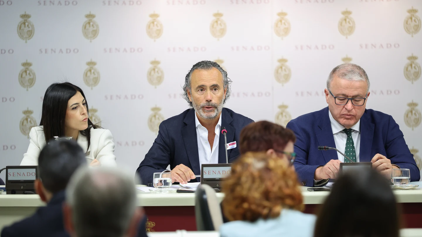 El presidente de la Asociación Víctimas Descarrilamiento Adamuz (AVDA), Mario Samper Pereira (c), comparece ante la Comisión de Investigación sobre el estado de la red ferroviaria en España El presidente de la Asociación Víctimas Descarrilamiento Adamuz (AVDA), Mario Samper Pereira (c), comparece ante la Comisión de Investigación sobre el estado de la red ferroviaria en España