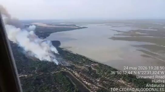 El incendio de Do&ntilde;ana contin&uacute;a activo pero confinado tras una noche de intensa lucha contra las llamas