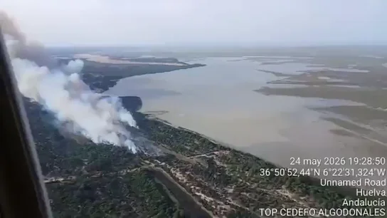 El incendio de Doñana continúa activo pero confinado tras una noche de intensa lucha contra las llamas El incendio de Doñana continúa activo pero confinado tras una noche de intensa lucha contra las llamas