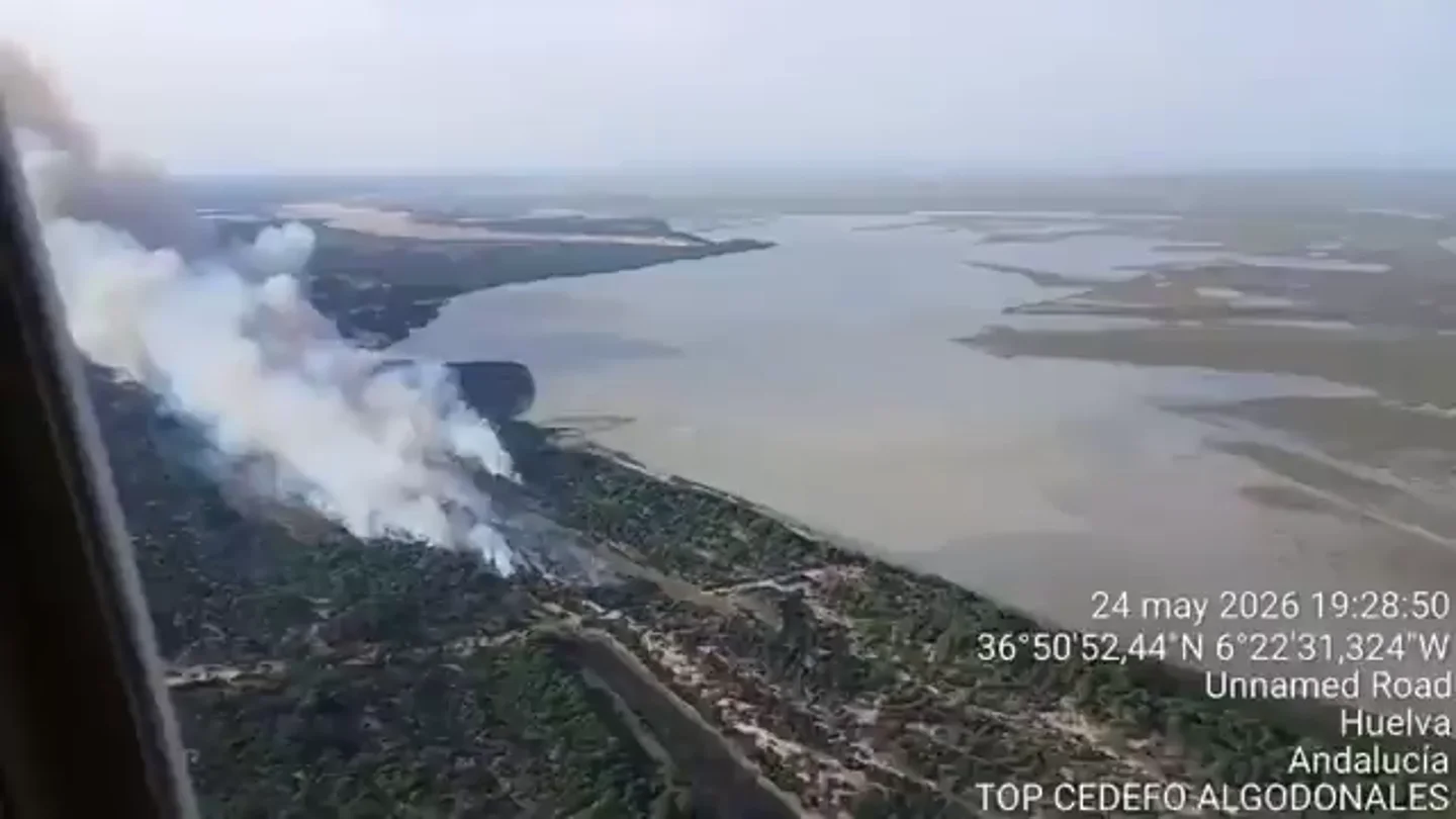 El incendio de Doñana continúa activo pero confinado tras una noche de intensa lucha contra las llamas El incendio de Doñana continúa activo pero confinado tras una noche de intensa lucha contra las llamas