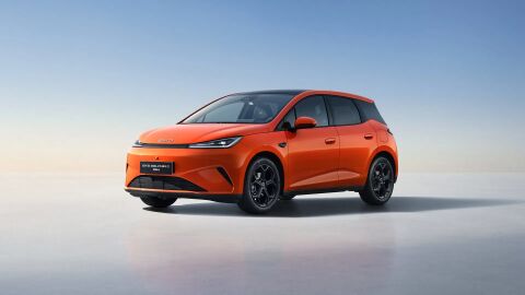 BYD Dolphin G