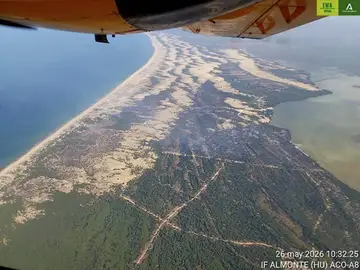 El fuego afecta a las dunas y corrales de Marismillas en Doñana, zonas de gran valor ecológico El fuego afecta a las dunas y corrales de Marismillas en Doñana, zonas de gran valor ecológico