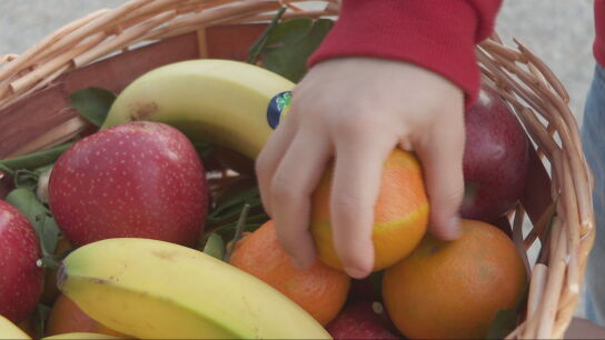La prioridad nacional de Vox deja a los ni&ntilde;os de Arag&oacute;n sin frutas en los colegios: "No podemos darles peras de Sud&aacute;frica o naranjas de Egipto"