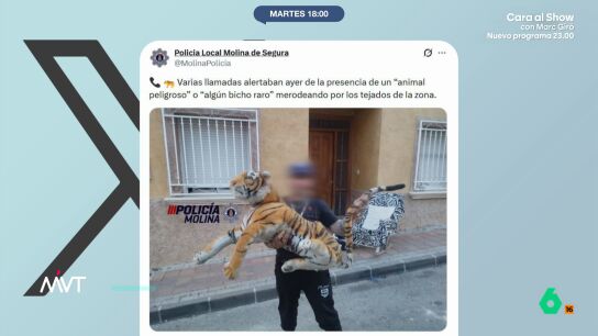 Muchos vecinos decidieron llamar a los agentes para advertirles de que hab&iacute;a un felino de grandes dimensiones sobre el tejado de un domicilio. Esto hizo que se desplazaran varias dotaciones de la Polic&iacute;a Local al lugar. 