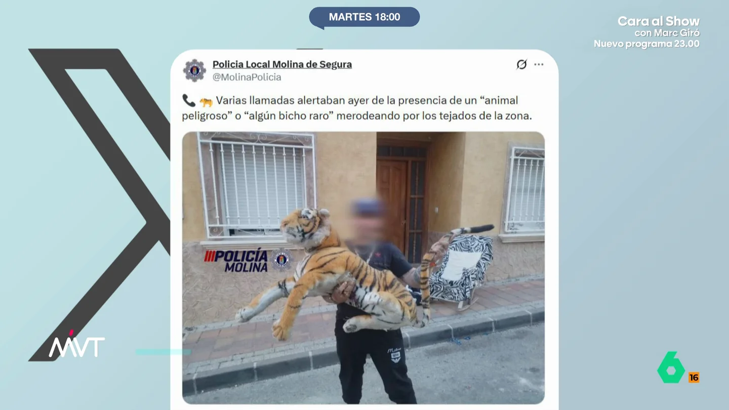 Un tigre de peluche siembra el pánico en Molina de Segura: varios vecinos llamaron a la policía alarmados Muchos vecinos decidieron llamar a los agentes para advertirles de que había un felino de grandes dimensiones sobre el tejado de un domicilio. Esto hizo que se desplazaran varias dotaciones de la Policía Local al lugar.