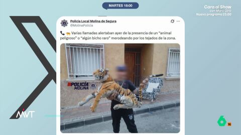 Muchos vecinos decidieron llamar a los agentes para advertirles de que hab&iacute;a un felino de grandes dimensiones sobre el tejado de un domicilio. Esto hizo que se desplazaran varias dotaciones de la Polic&iacute;a Local al lugar. 