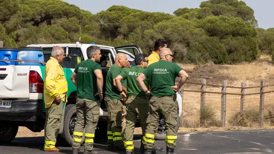 Controlado el incendio forestal del Parque Nacional de Doñana tras días de fuego. Controlado el incendio forestal del Parque Nacional de Doñana tras días de fuego.