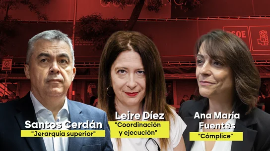 Las supuestas funciones de Santos Cerdán, Leire Díez y Ana María Fuentes en la trama Las supuestas funciones de Santos Cerdán, Leire Díez y Ana María Fuentes en la trama