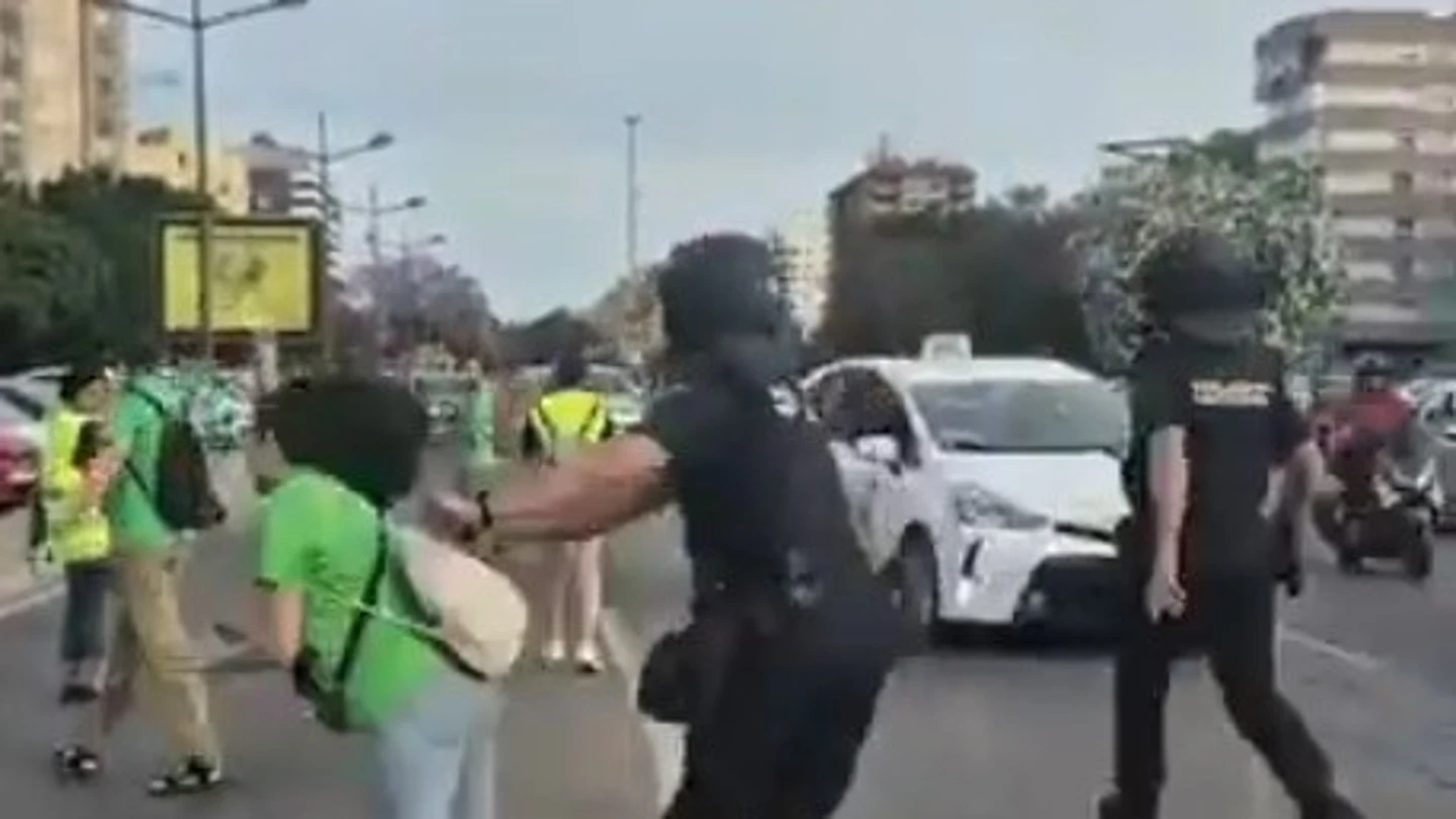 Un policía empuja a una manifestante en la concentración de profesores de Valencia Un policía empuja a una manifestante en la concentración de profesores de Valencia