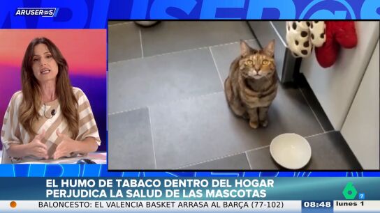 Los veterinarios advierten: si fumas en casa, perjudicas seriamente la salud de tus mascotas